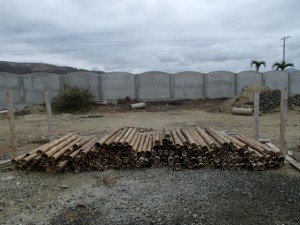 The Bamboo poles on the next door vacant lot