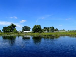 Mennonite farm on the New River